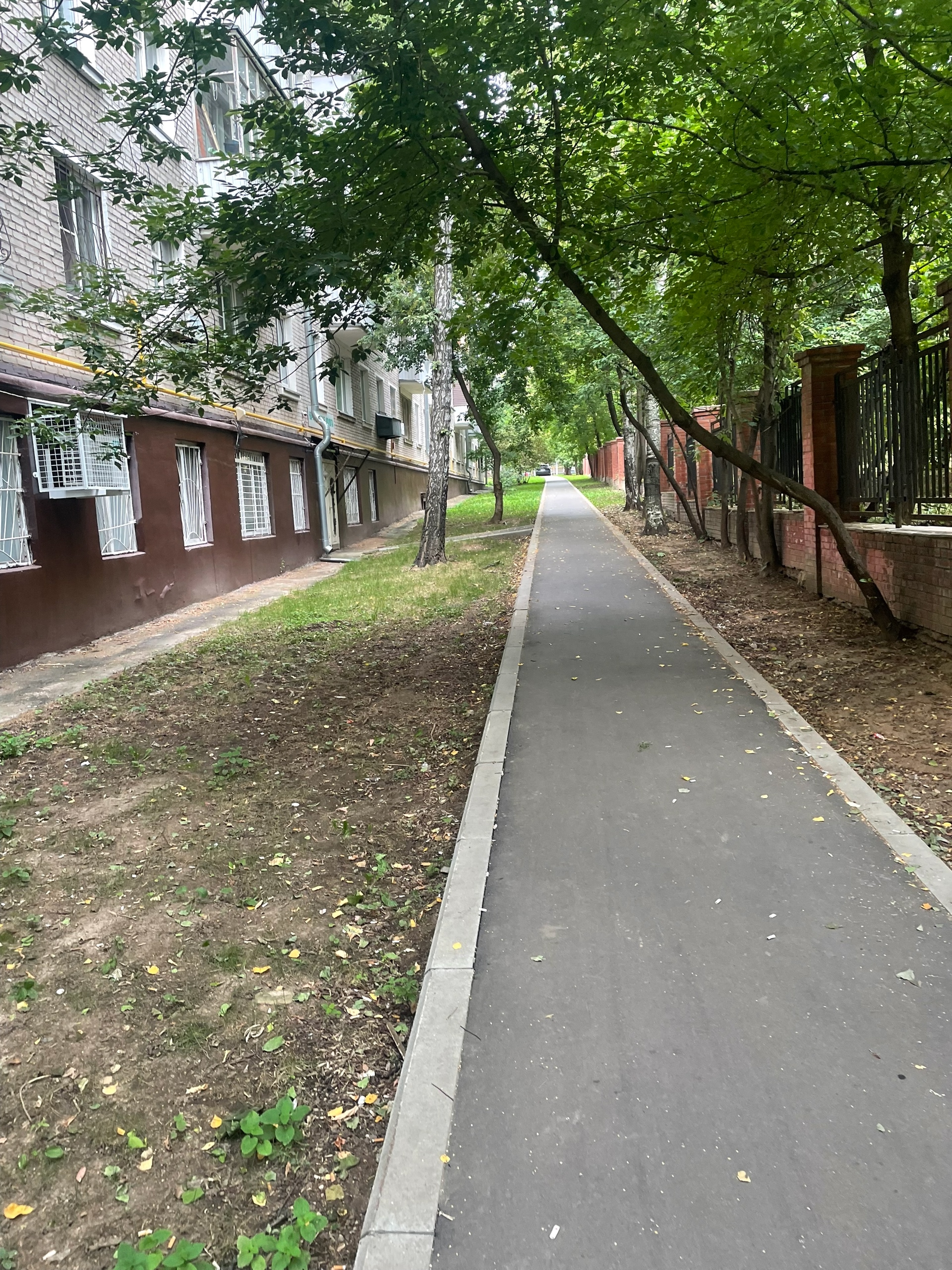 Друзья, у меня потрясающая новость!